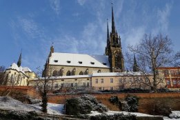 Obezitologie a bariatrie 2025