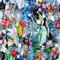 Hlavní obrázek - Lidé týdně zkonzumují 5 gramů plastů, uvádí studie