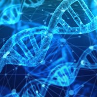 Hlavní obrázek - Čeští vědci vytvořili přepínač DNA,může pomoci v boji s nemocemi
