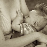 Hlavní obrázek - Dítě do půl roku nepotřebuje víc než mateřské mléko