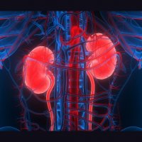 Hlavní obrázek - Kabozantinib v léčbě metastatického karcinomu ledviny – finální analýza dat ze čtyř onkologických center v České republice