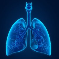 Hlavní obrázek - Rakovinu plic „umí“ nejlépe v centrech