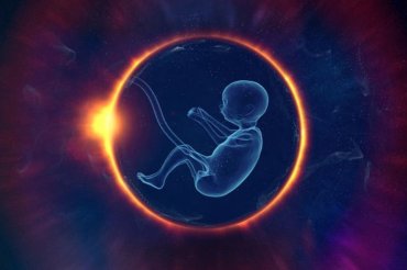 Hlavní obrázek článku - Příčinou neplodnosti může být i netradiční tvar dělohy – komplikuje početí i těhotenství