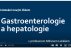 Hlavní obrázek - Gastroenterologie a hepatologie – 4. díl roku 2025