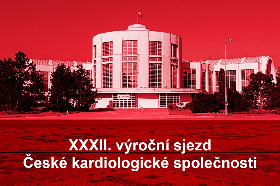 Hlavní obrázek - V Česku vzniknou centra pro léčbu chorob srdečního svalu